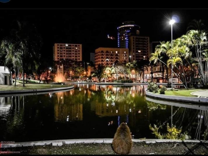 Apartamento Aconchegante Centro Aguas De Lindoia Daire Dış mekan fotoğraf